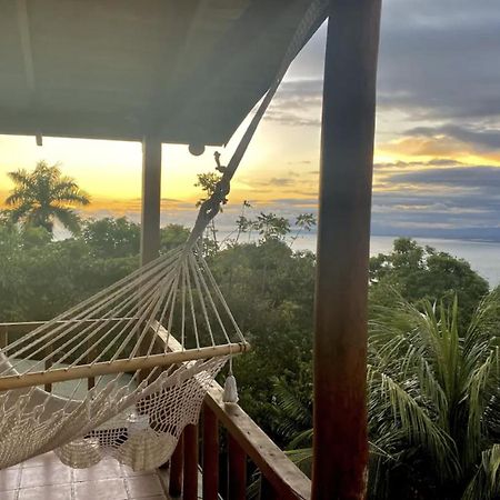 Mizaru Ocean View Hotel Manuel Antonio Кепос Екстериор снимка