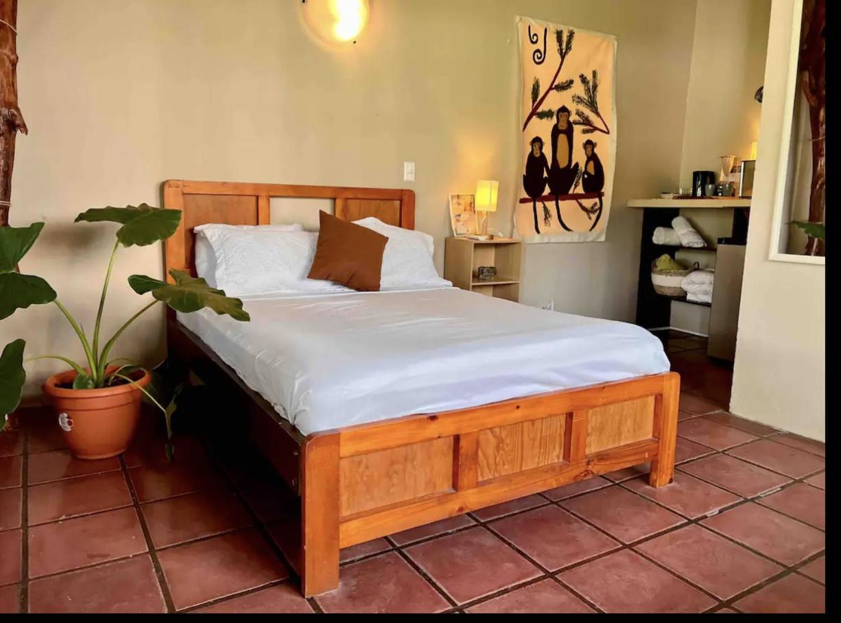 Mizaru Ocean View Hotel Manuel Antonio Кепос Екстериор снимка