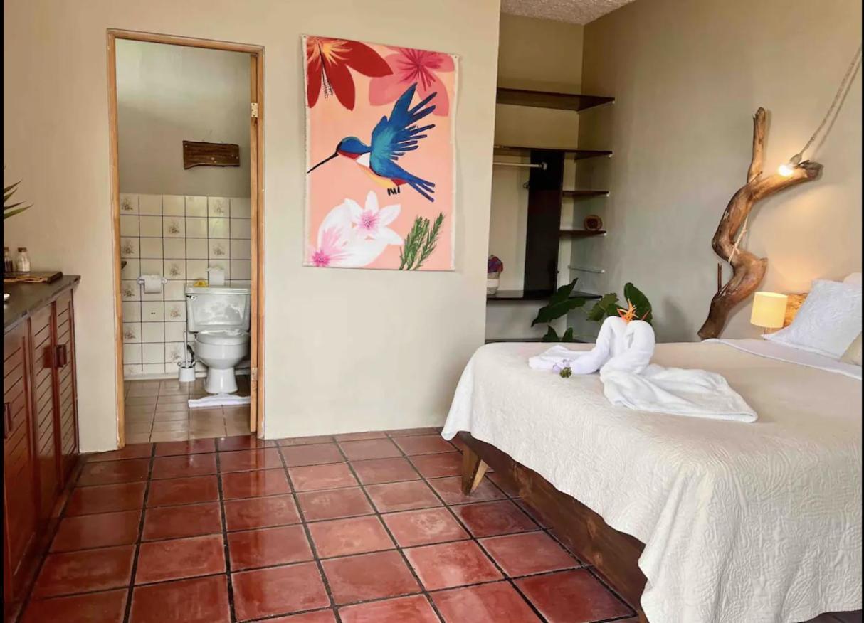 Mizaru Ocean View Hotel Manuel Antonio Кепос Екстериор снимка