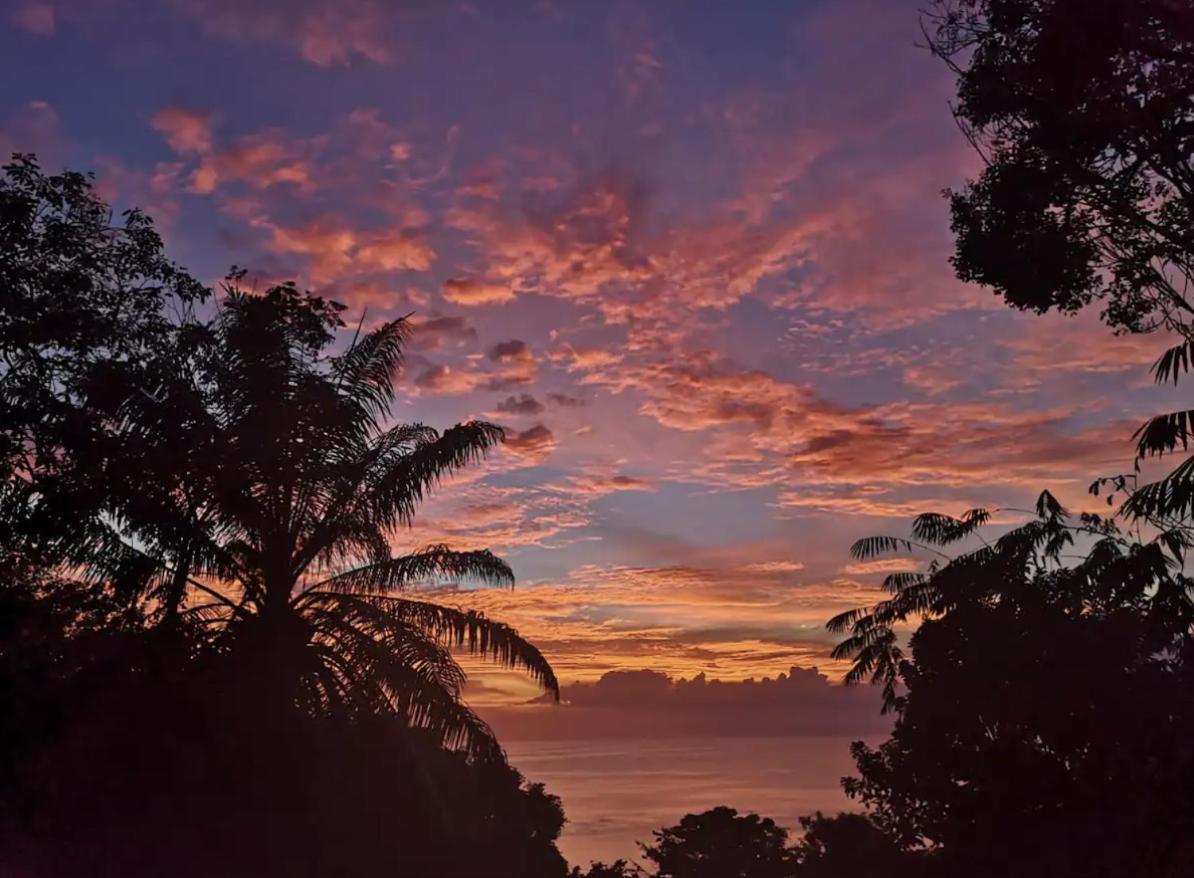 Mizaru Ocean View Hotel Manuel Antonio Кепос Екстериор снимка